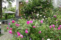 Klicken Sie bitte auf die Bilder um die Bildgalerie zu &ouml;ffnen. Pop-Ups m&uuml;ssen in Ihrem Browser aktiviert sein. 