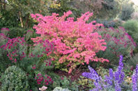 Klicken Sie bitte auf die Bilder und es &ouml;ffnet sich eine Bildergalerie